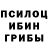 Псилоцибиновые грибы Magic Shrooms 325.Tophype