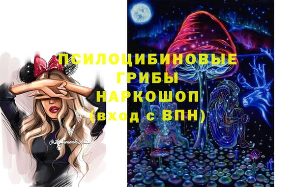 экстази Краснослободск
