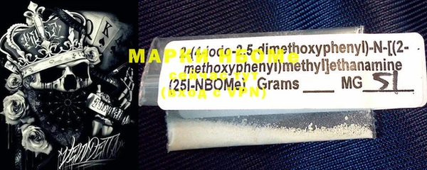 PSILOCYBIN Кукмор