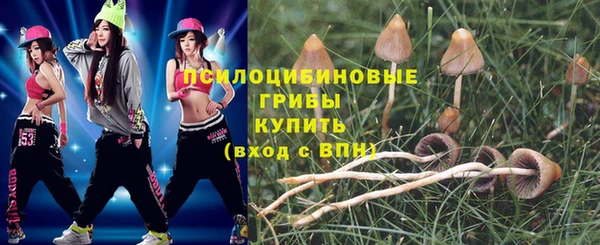 spice Покачи